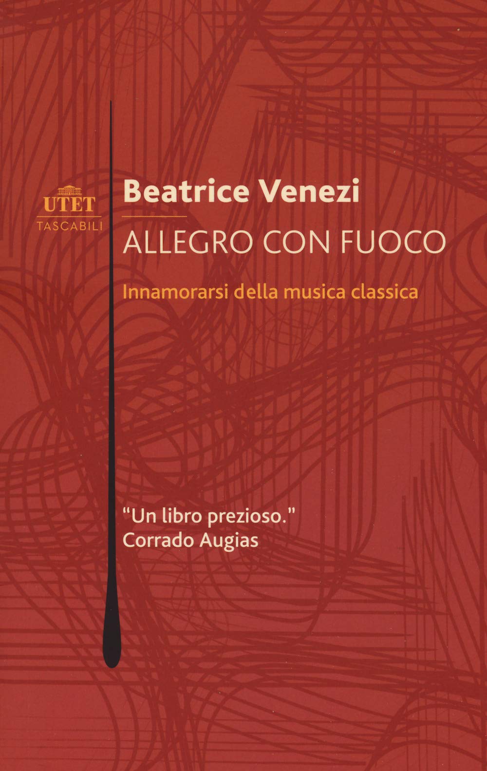 Allegro con fuoco. Innamorarsi della musica classica book
