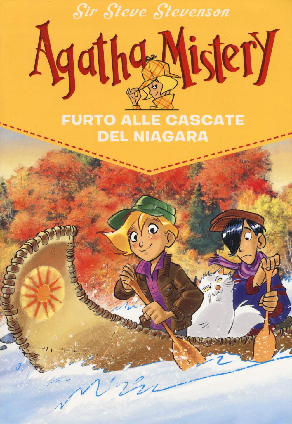 Furto alle cascate del Niagara book
