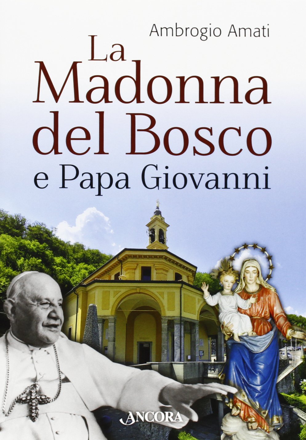 La Madonna del bosco e papa Giovanni book