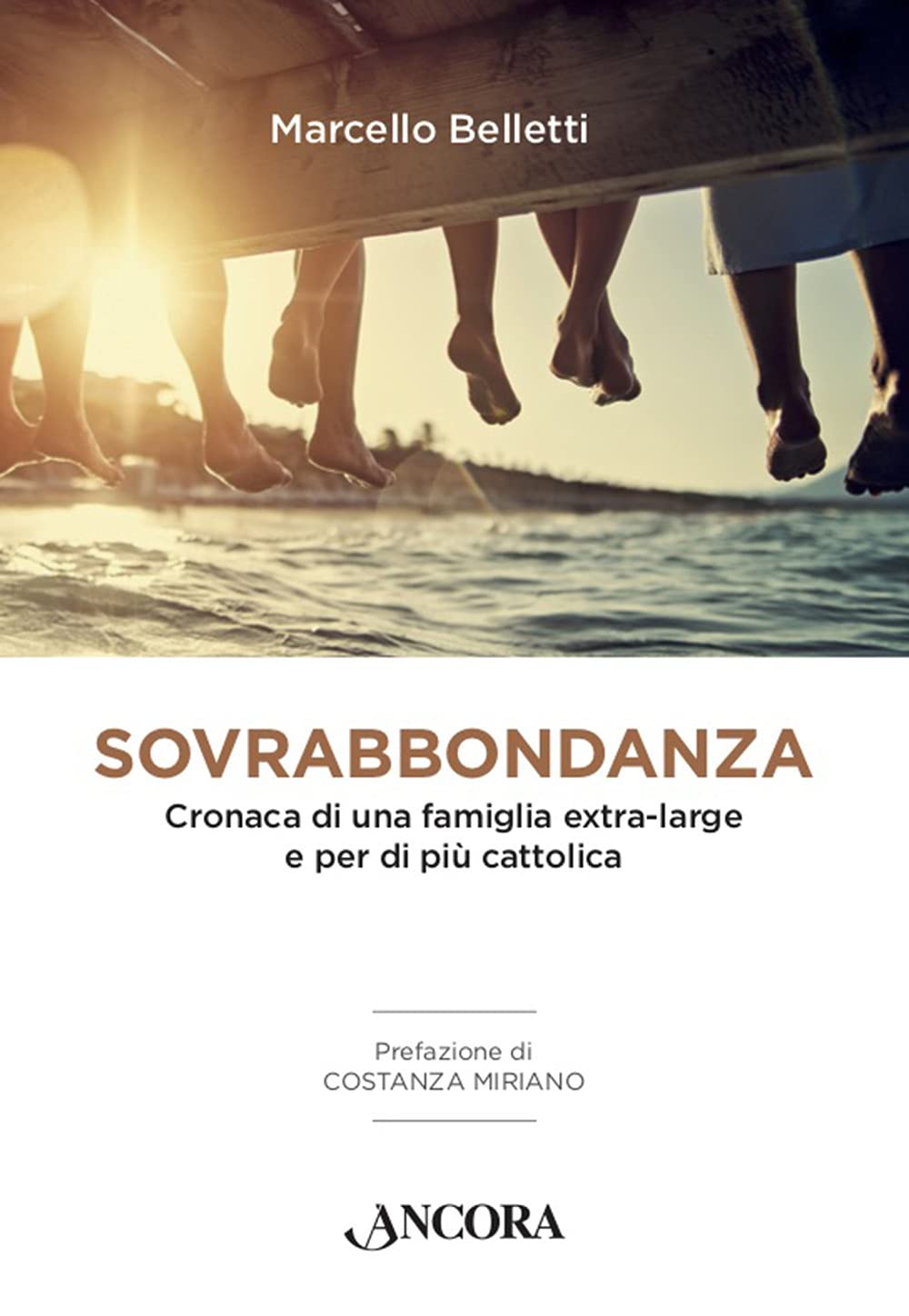 Sovrabbondanza. Cronaca di una famiglia extra-large e per di più cattolica book