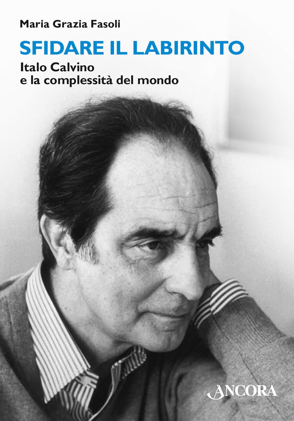 Sfidare il labirinto. Italo Calvino e la complessità del mondo Contemporary literature