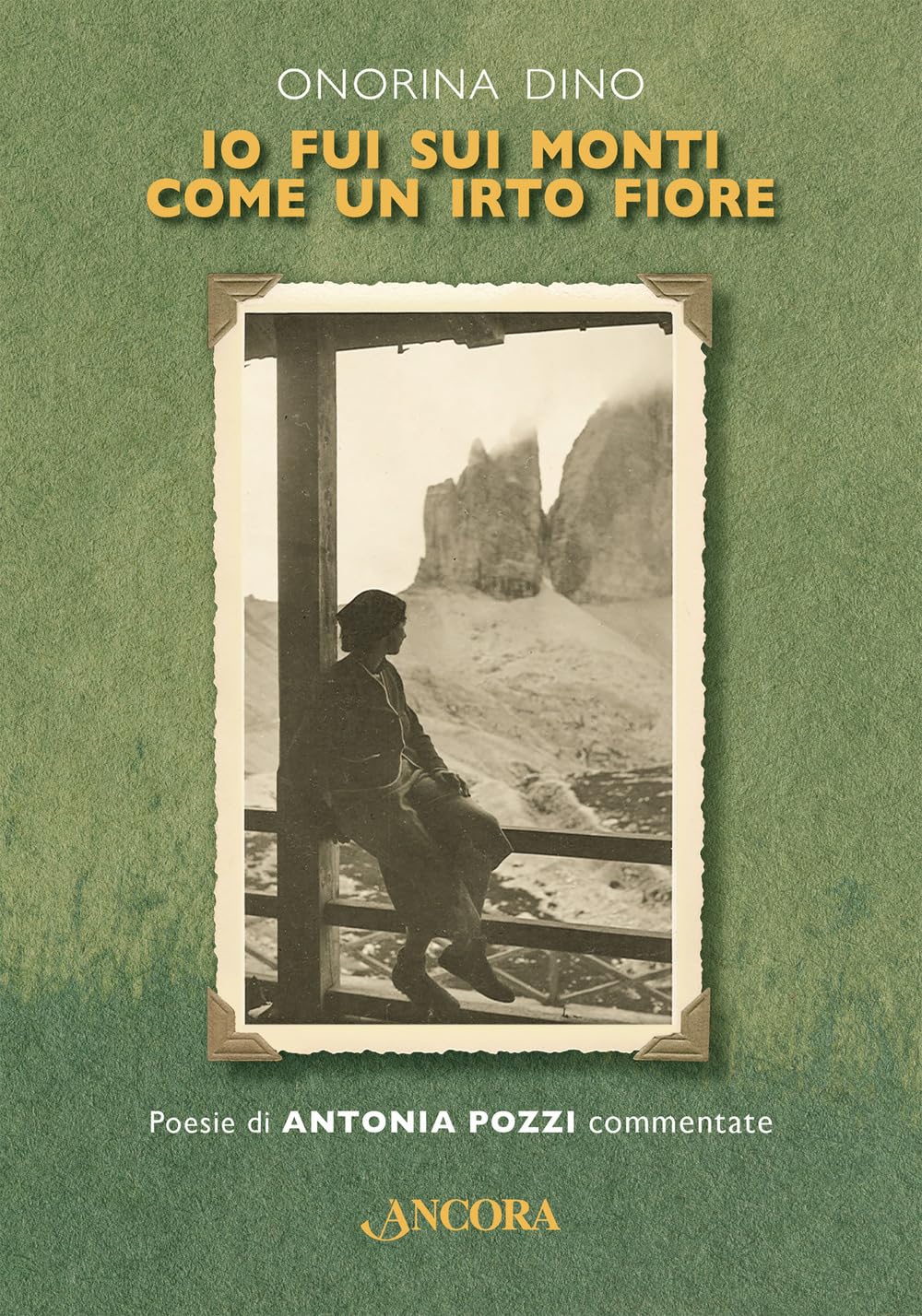 Io fui sui monti come un irto fiore. Poesie di Antonia Pozzi commentate. Ediz. critica book