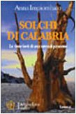 Solchi di Calabria. Le tinte forti di una terra di passione (Biblioteca 80. Narratori) Contemporary literature
