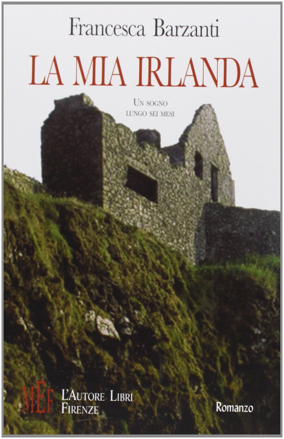 La mia Irlanda. Un sogno lungo sei mesi: l'esperienza indimenticabile di una studentessa Erasmus (Biblioteca 80. Narratori) Contemporary literature