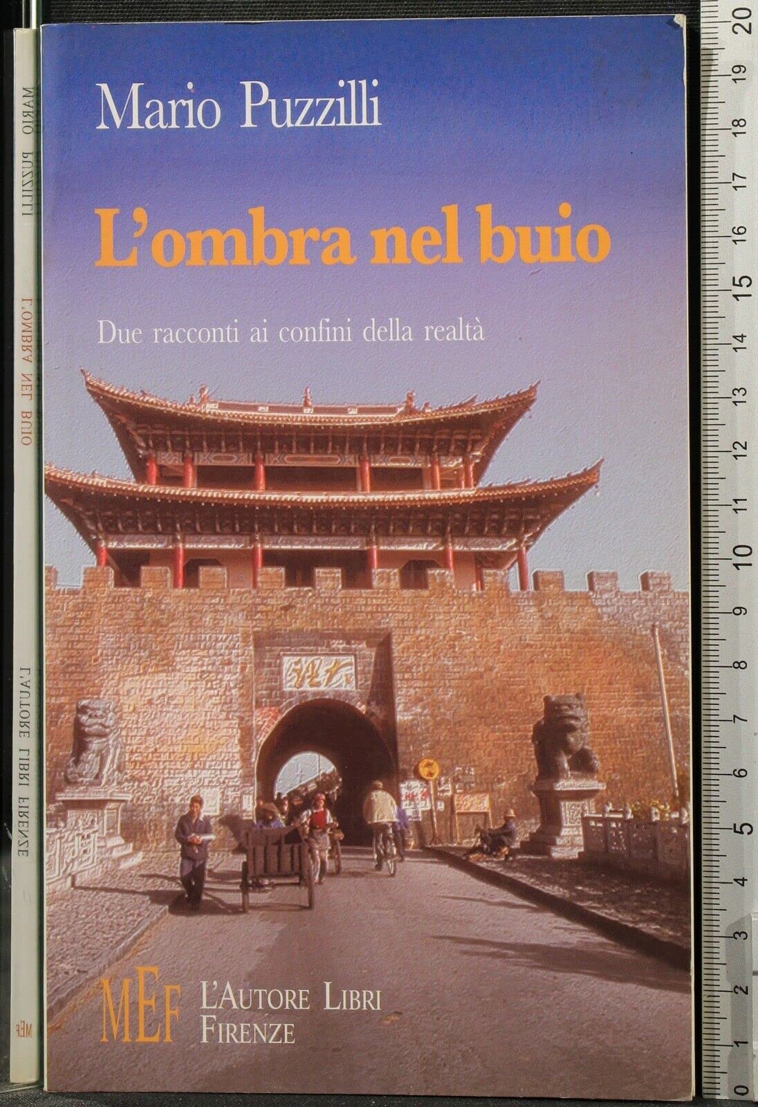 L'ombra nel buio. Due racconti ai confini della realtà (Biblioteca 80. Narratori) Contemporary literature