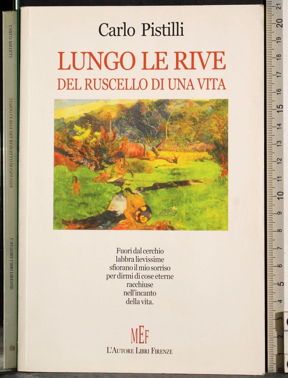 Lungo le rive del ruscello di un vita book