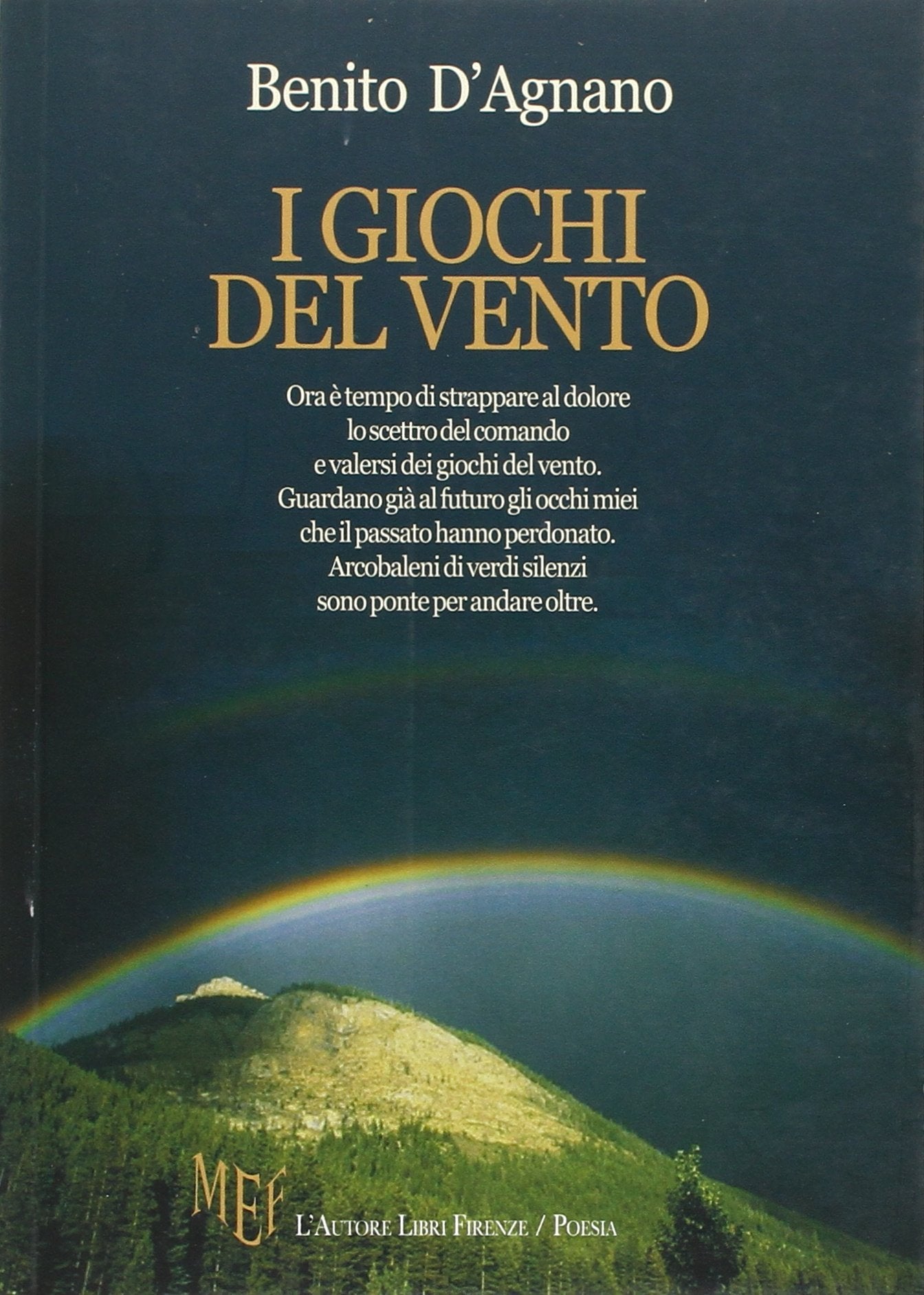 I giochi del vento book