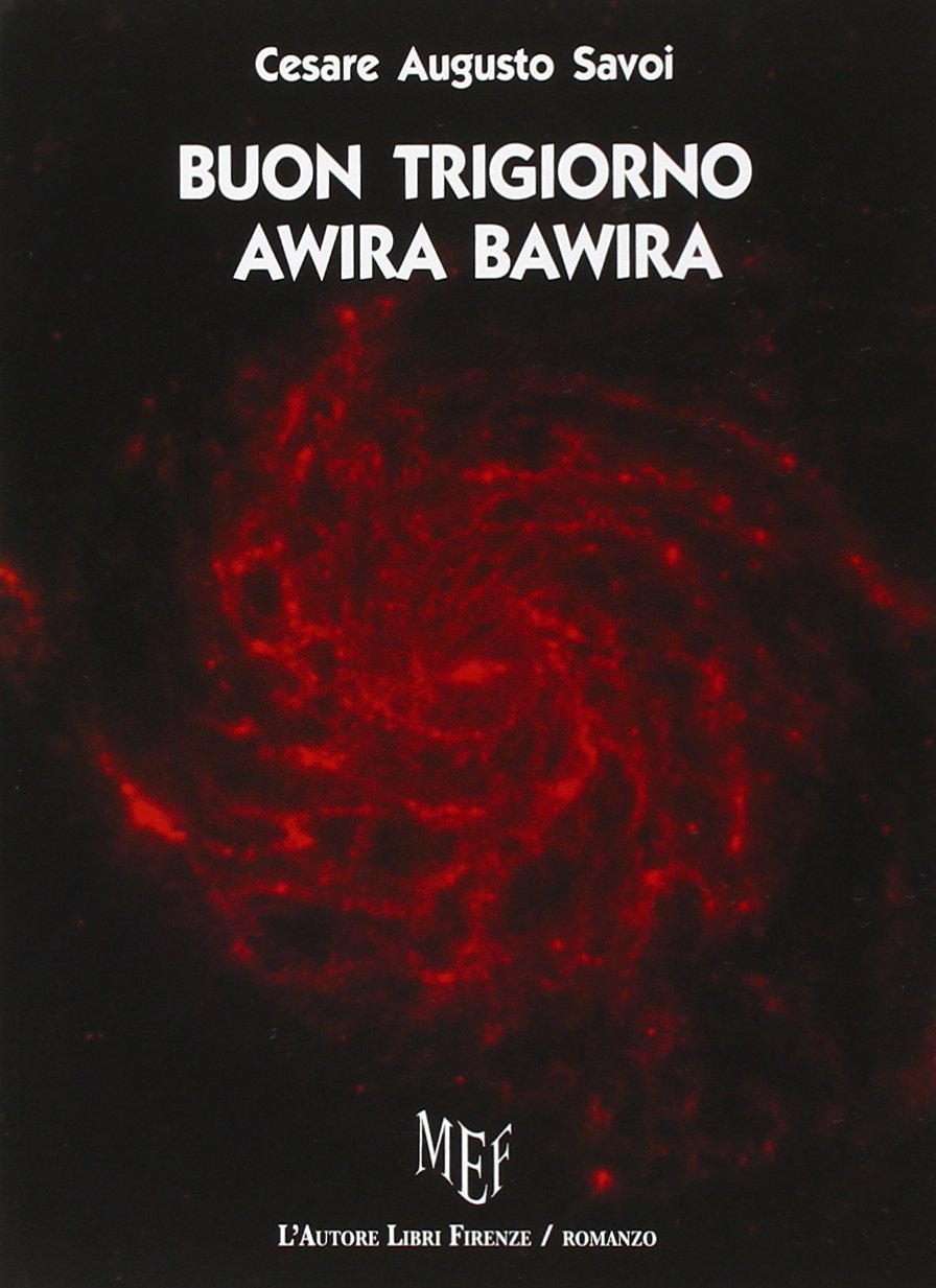Buon Trigiorno Awira Bawira (Biblioteca 80) Contemporary literature