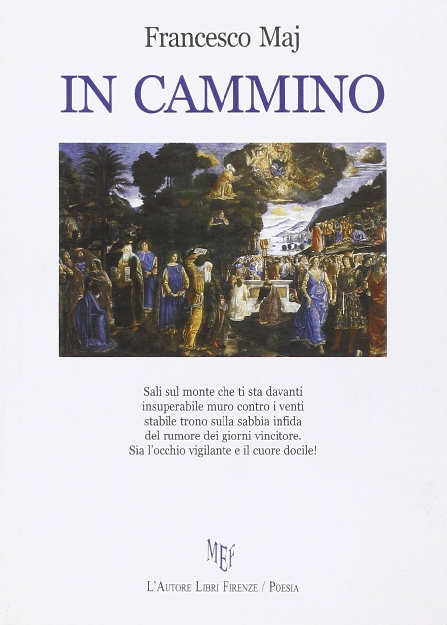 Product Image: In cammino (Biblioteca 80)