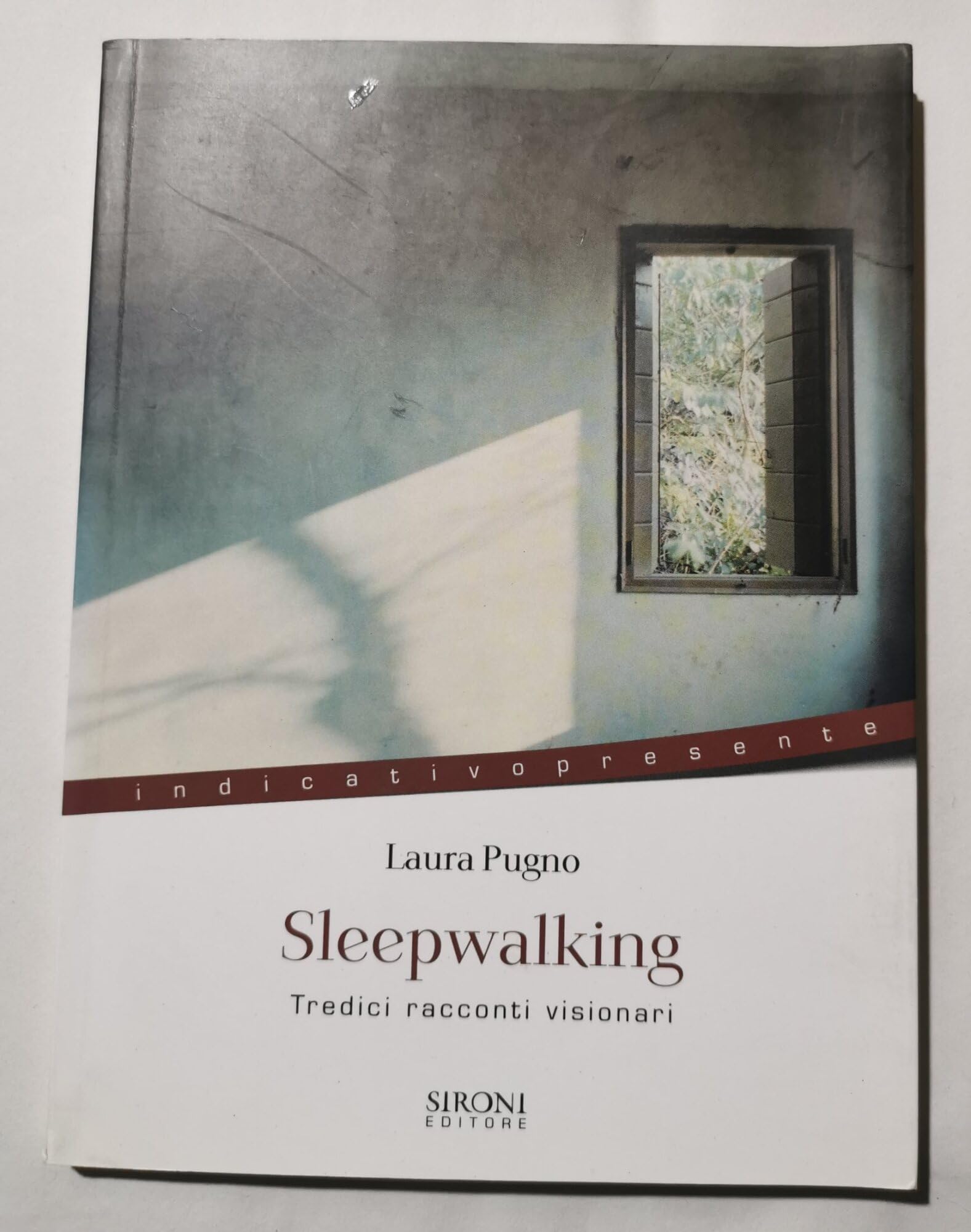 Sleepwalking. Tredici racconti visionari book