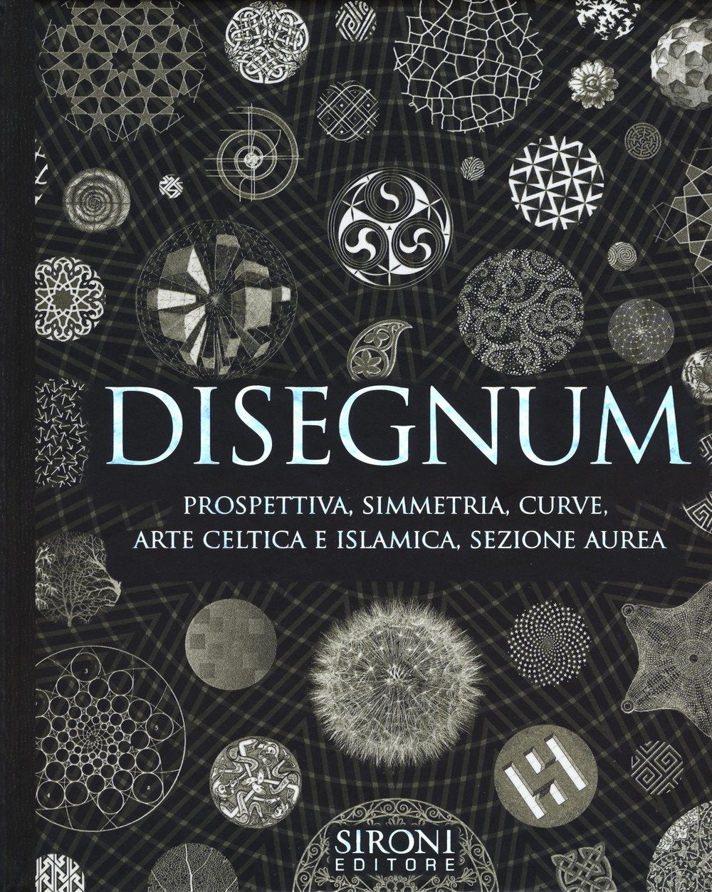 Disegnum. Prospettiva, simmetria, curve, arte celtica e islamica, sezione aurea book