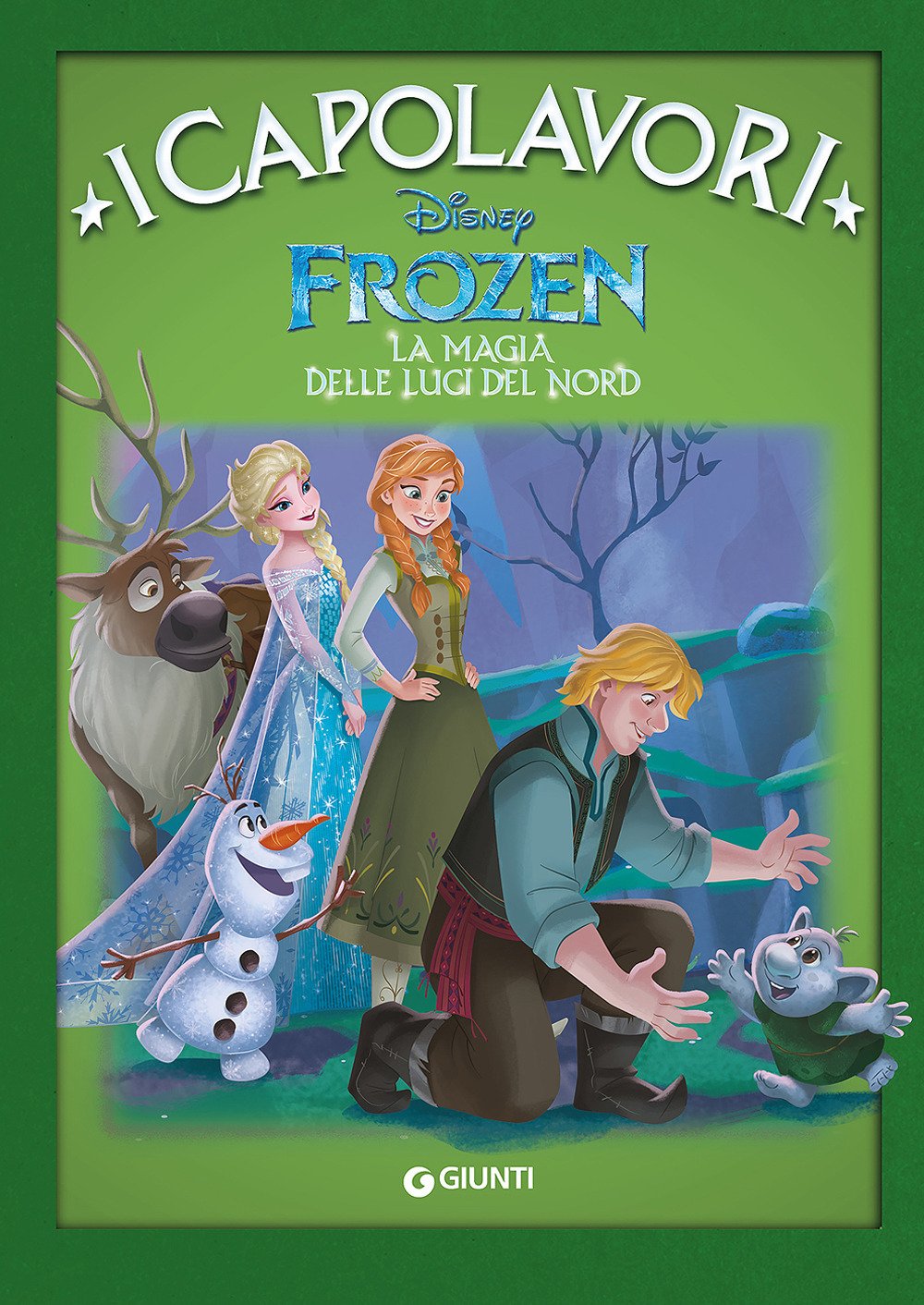 La magia delle luci del Nord. Frozen book