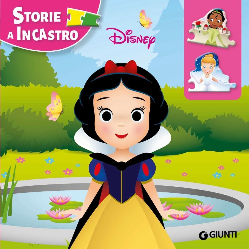 Principesse. Storie a incastro. Ediz. illustrata book