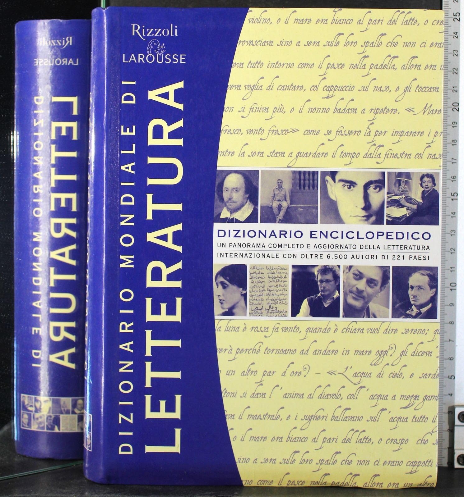 Dizionario mondiale di letteratura Contemporary literature