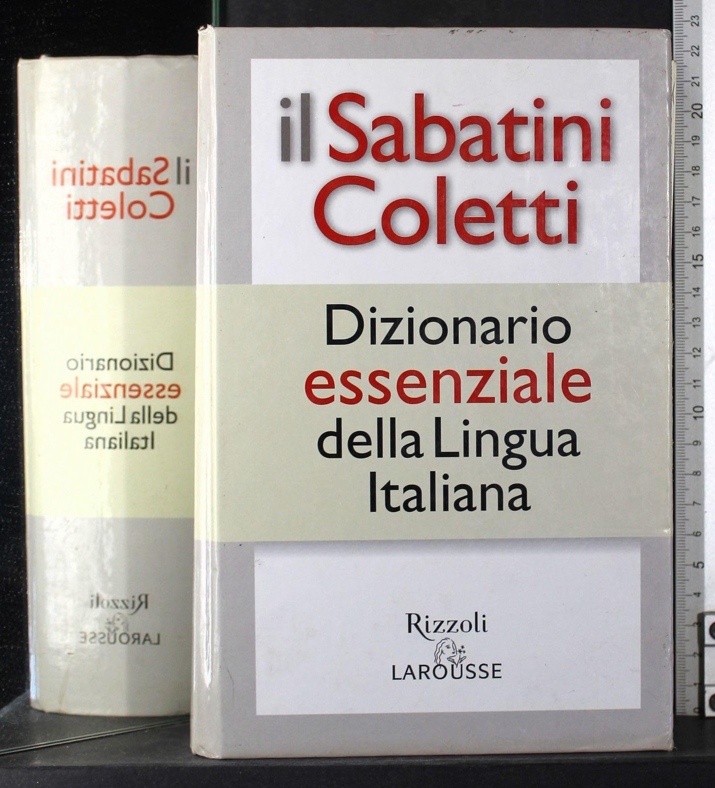 Il Sabatini Coletti dizionario essenziale della lingua italiana Reference Books