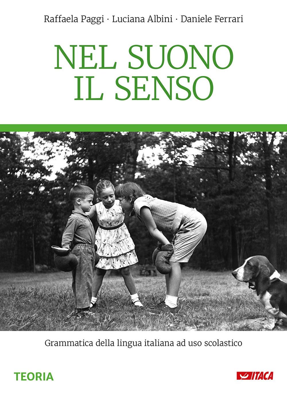 Nel suono il senso. Grammatica della lingua italiana ad uso scolastico. Per la Scuola media. Nuova ediz. Con e-book. Con espansione online Study Guides