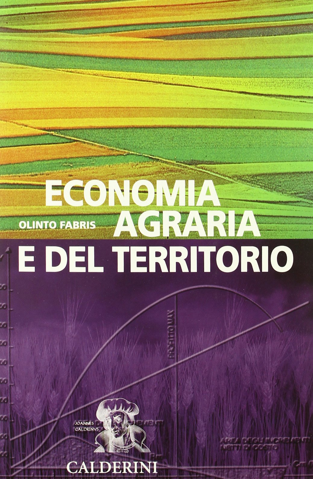 Economia agraria e del territorio. Per gli Ist. Tecnici per geometri (Vol. 2) book