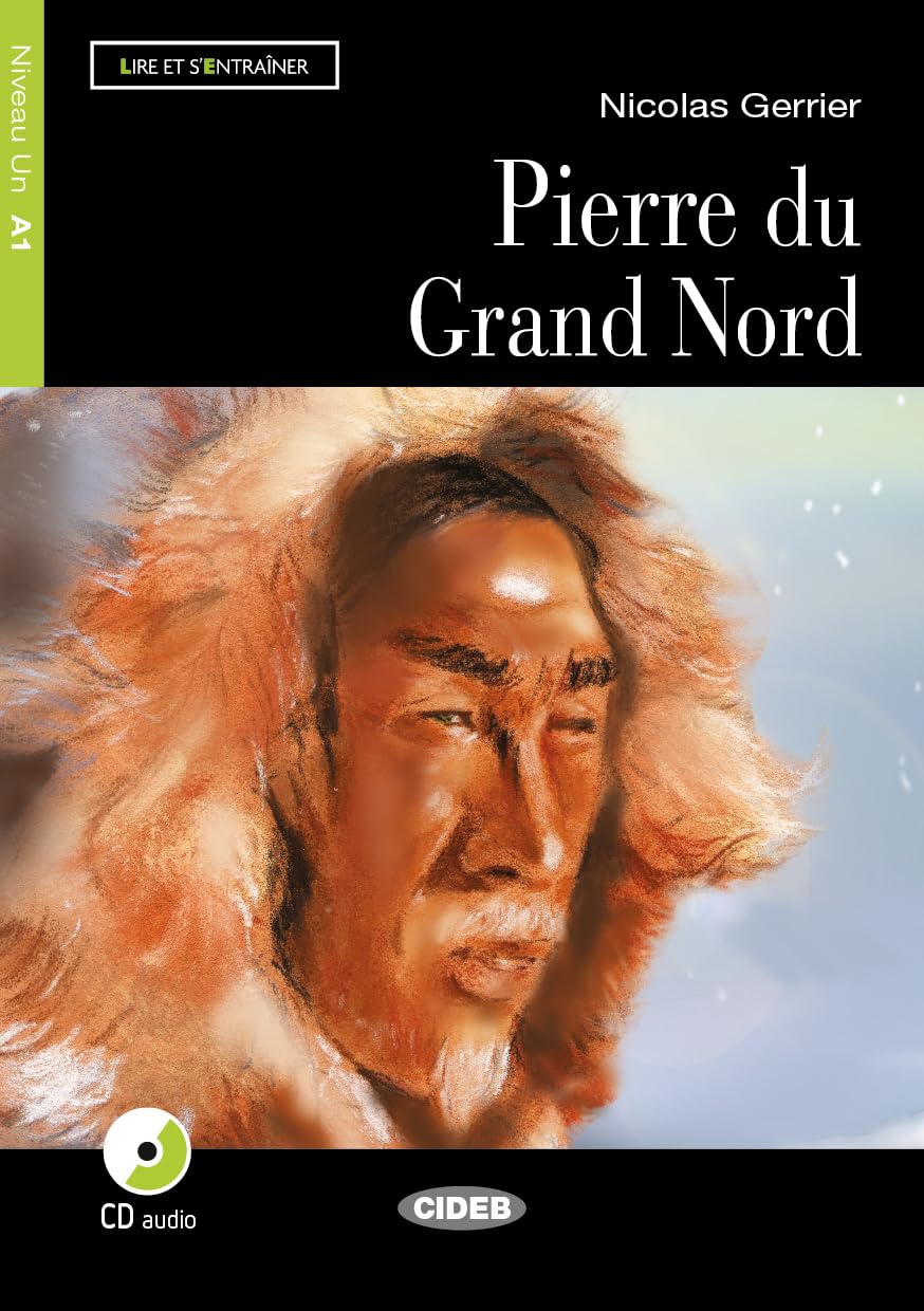 La pierre du Grand Nord: Niveau Un A1 book