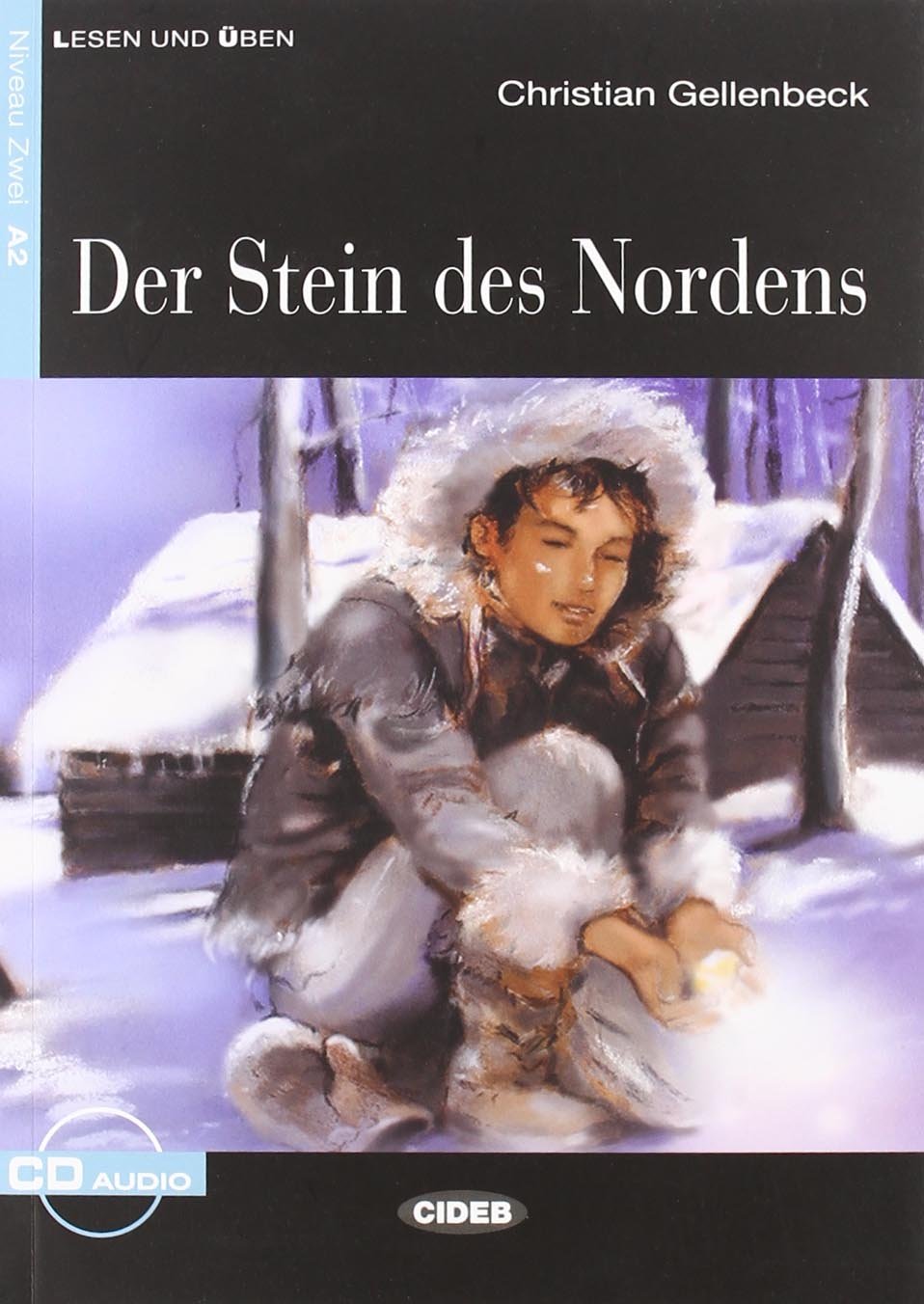 Der Stein DES Nordens - Book & CD book