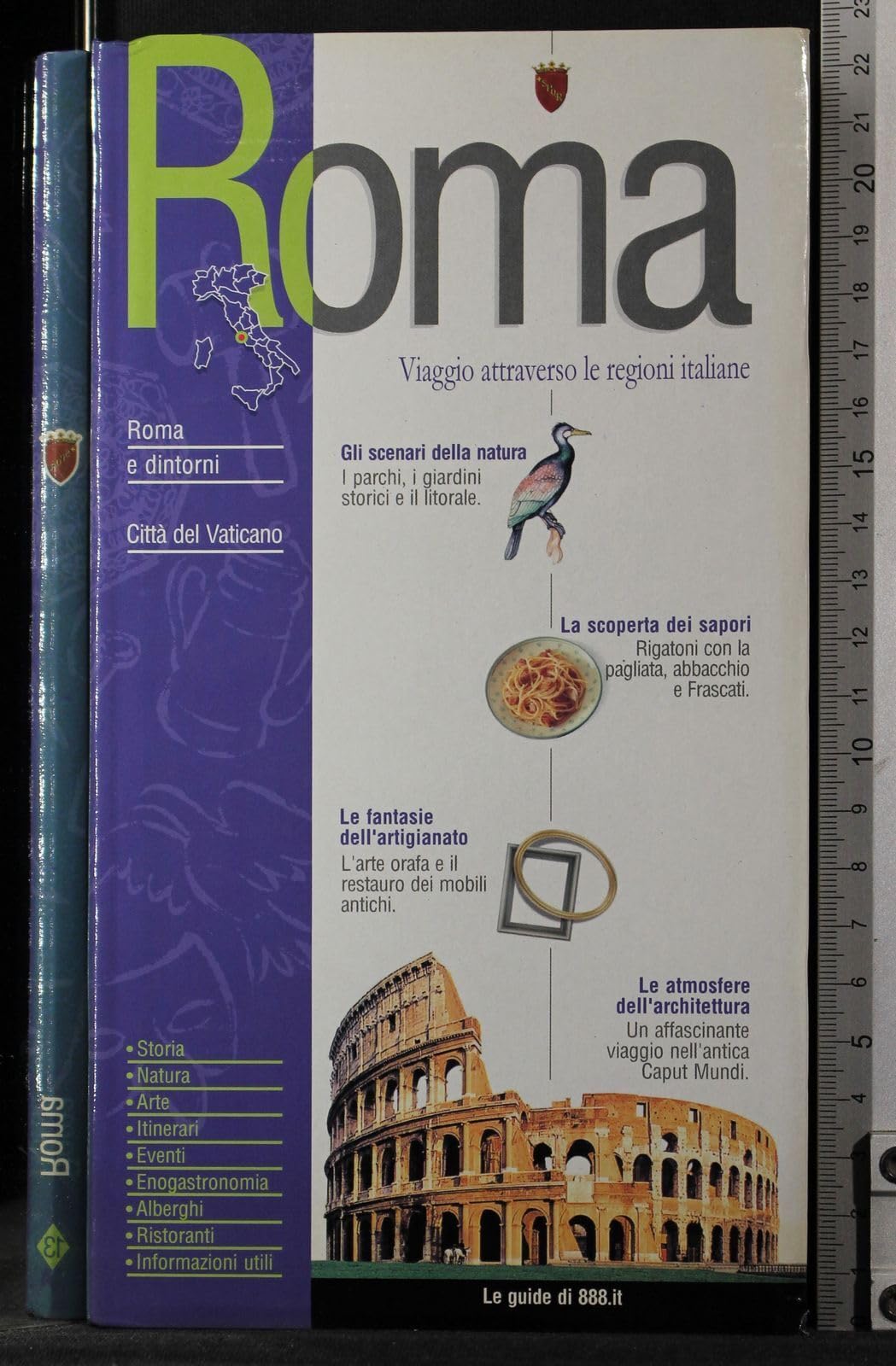 Roma. Viaggio attraverso le regioni italiane (Itinerari turistici per vivere l'Italia) Leisure, Home & Garden