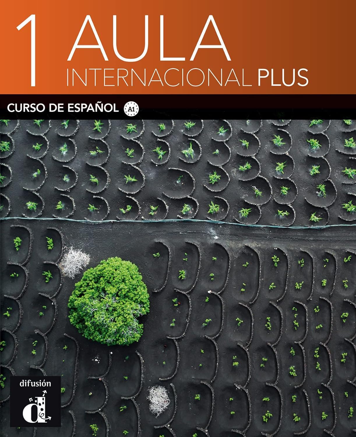 Aula internacional. Per le Scuole superiori. Con e-book. Con espansione online (Vol. 1) book