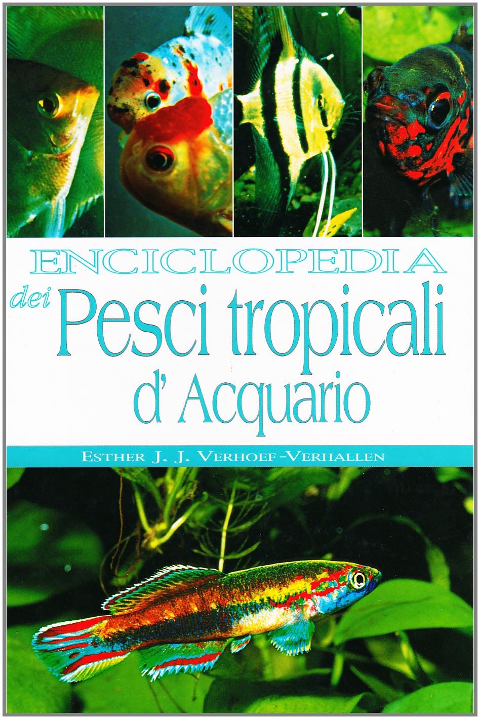 Enciclopedia dei pesci tropicali d'acquario. Ediz. illustrata (Enciclopedie) Pets