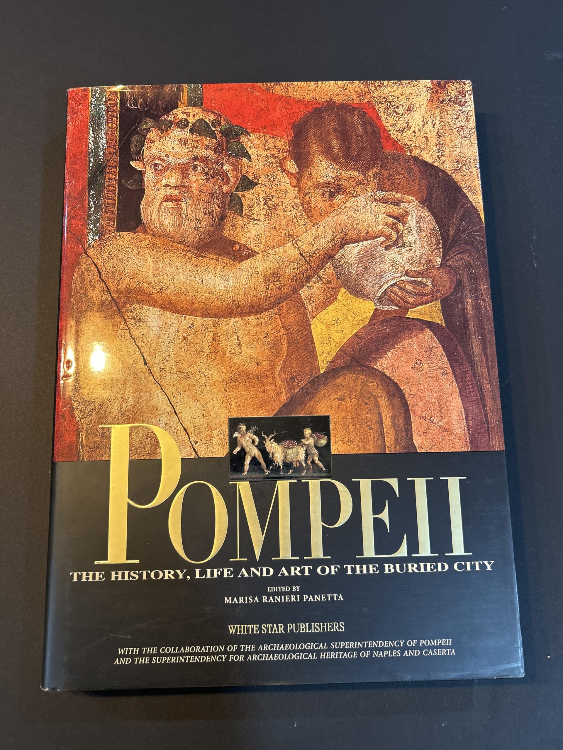 Pompeii: The History,Life And Art Of The Buried City: The History, Art and Life of the Buried City (Timeless Treasures S.) Social Sciences
