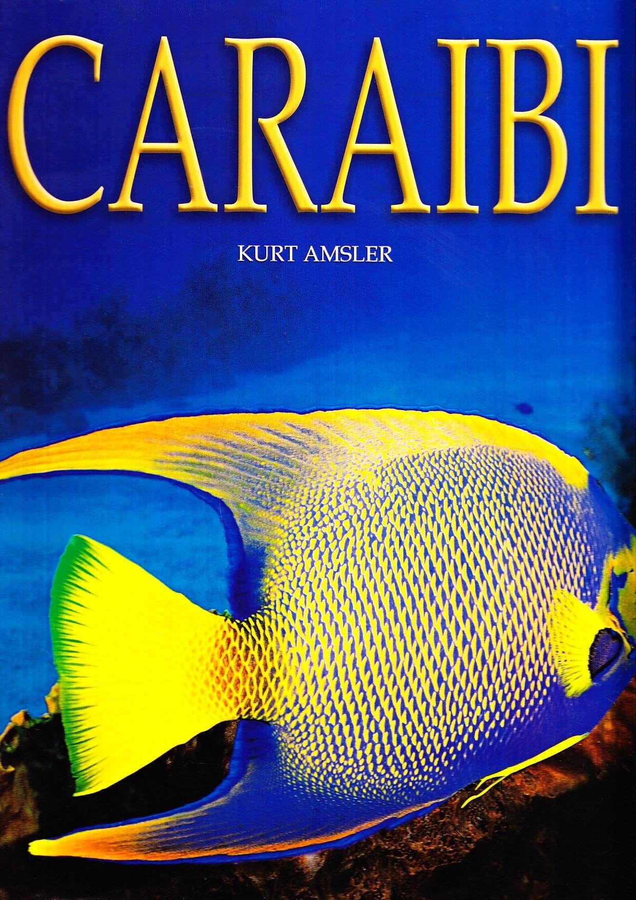 Caraibi. Ediz. illustrata (I segreti del mare) Leisure, Home & Garden