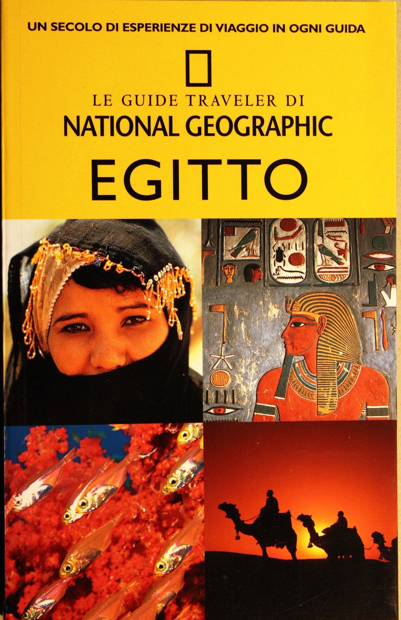 Egitto. Ediz. illustrata (Guide traveler. National Geographic) Leisure, Home & Garden