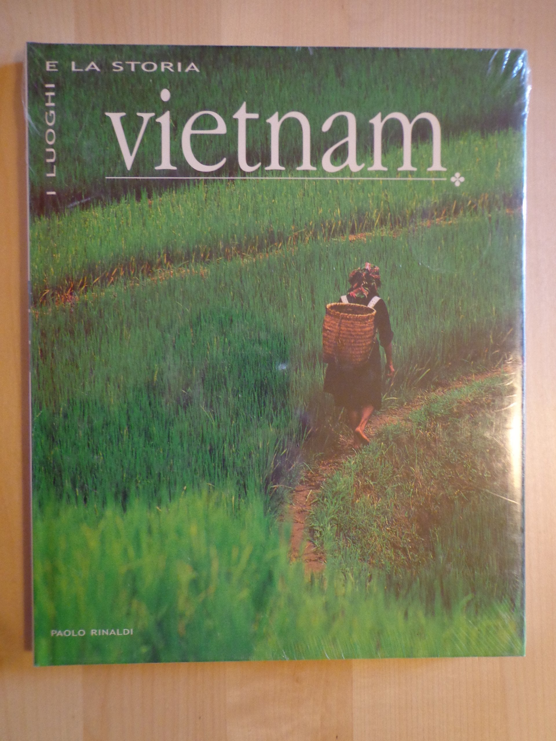 Vietnam. Ediz. illustrata book