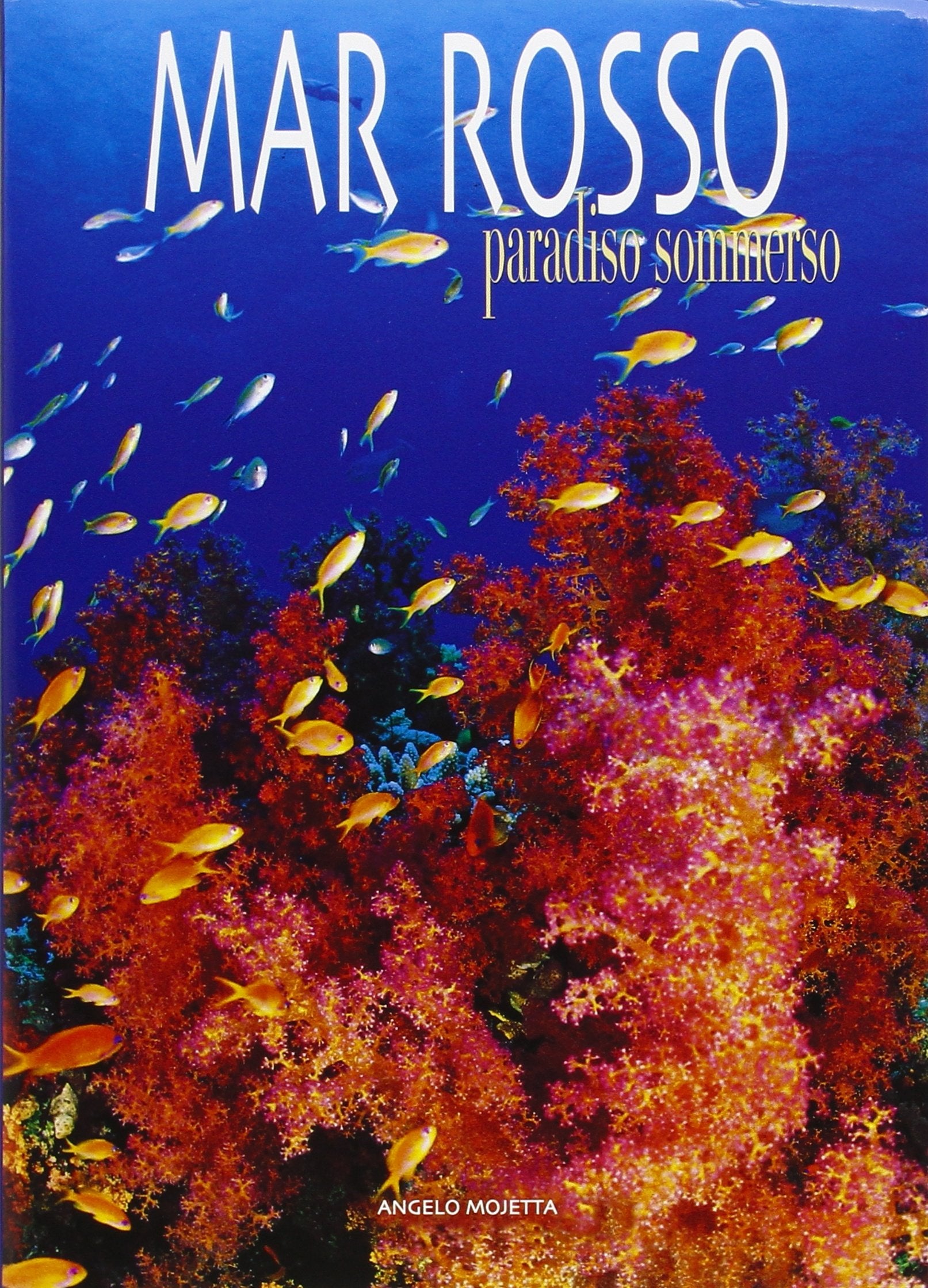 Mar Rosso. Paradiso sommerso. Ediz. illustrata (Paradisi sommersi) Leisure, Home & Garden
