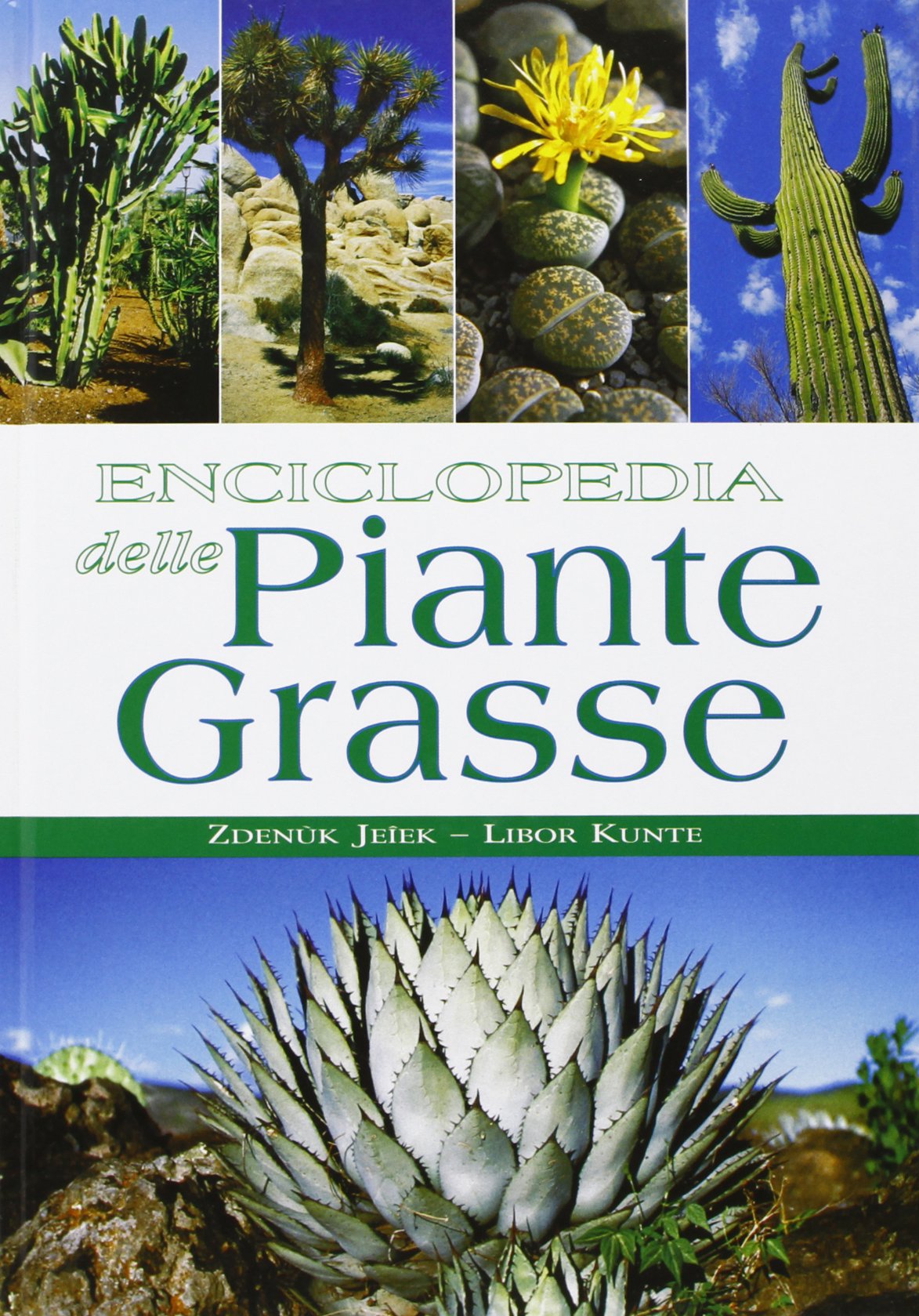 Enciclopedia delle piante grasse. Ediz. illustrata book