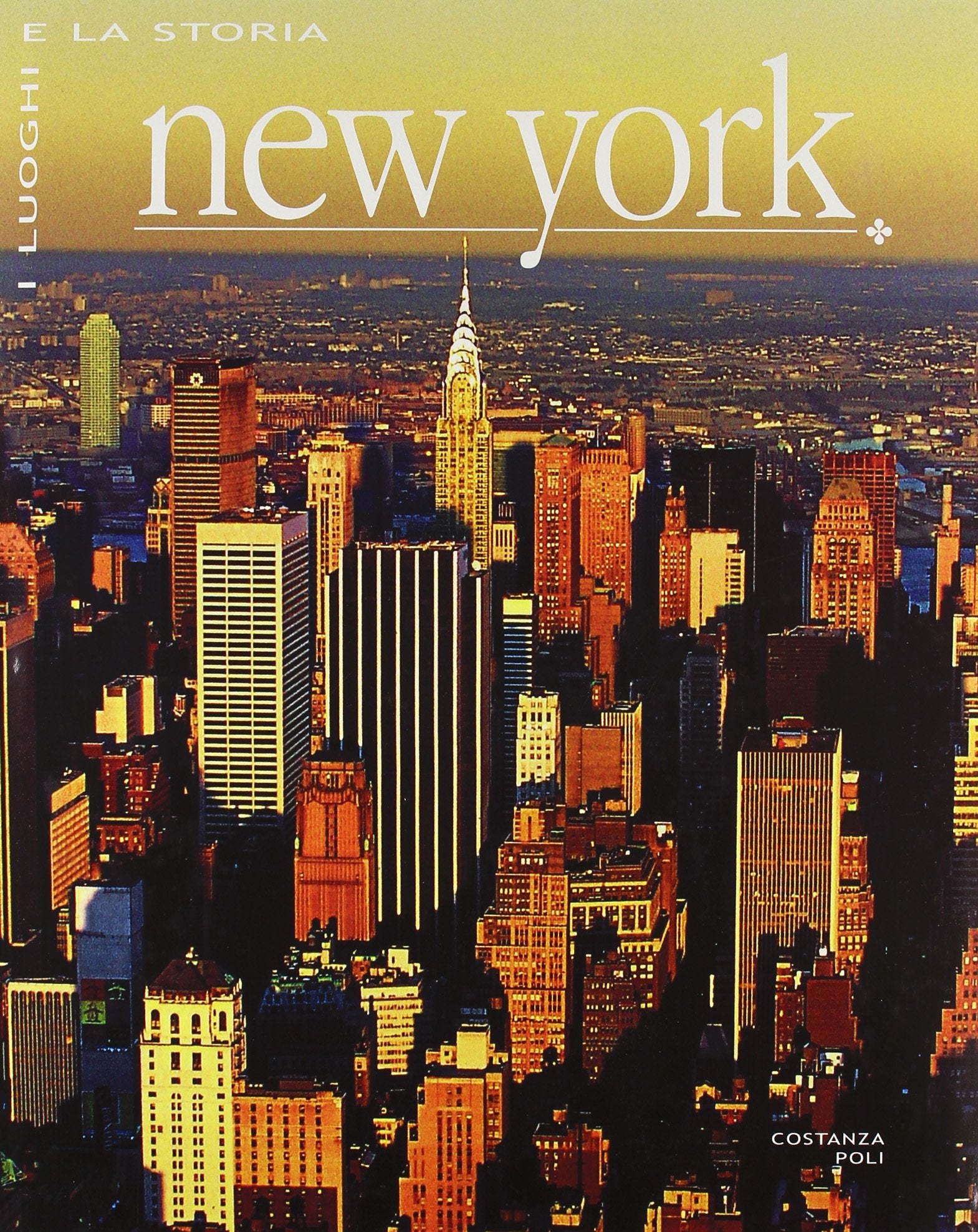 New York. Ediz. illustrata book