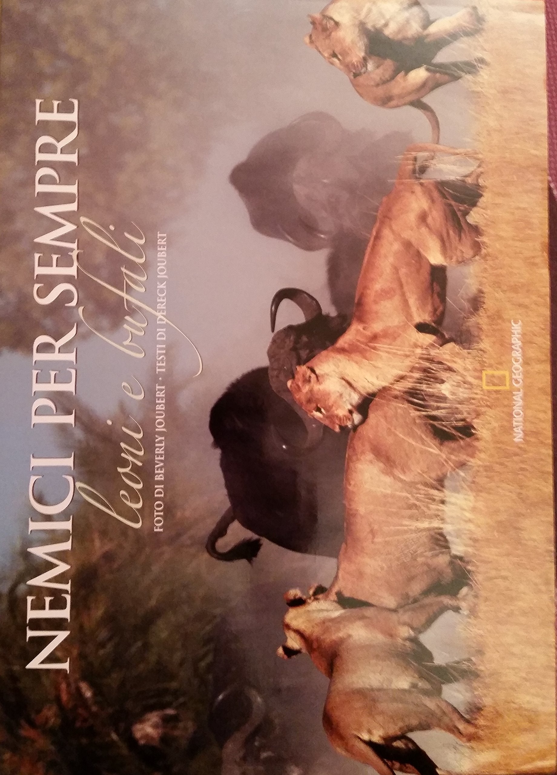 Nemici per sempre. Leoni e bufali. Ediz. illustrata book