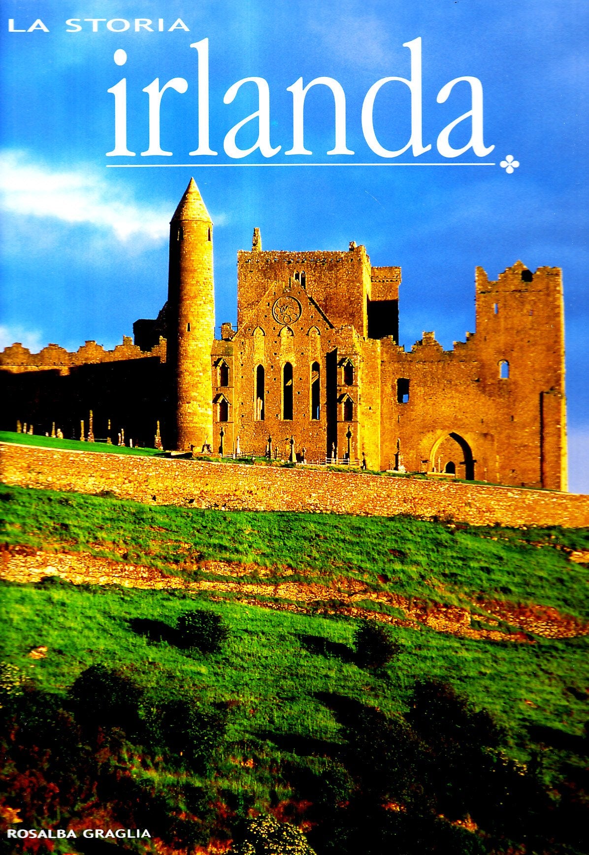 Irlanda. Ediz. illustrata book