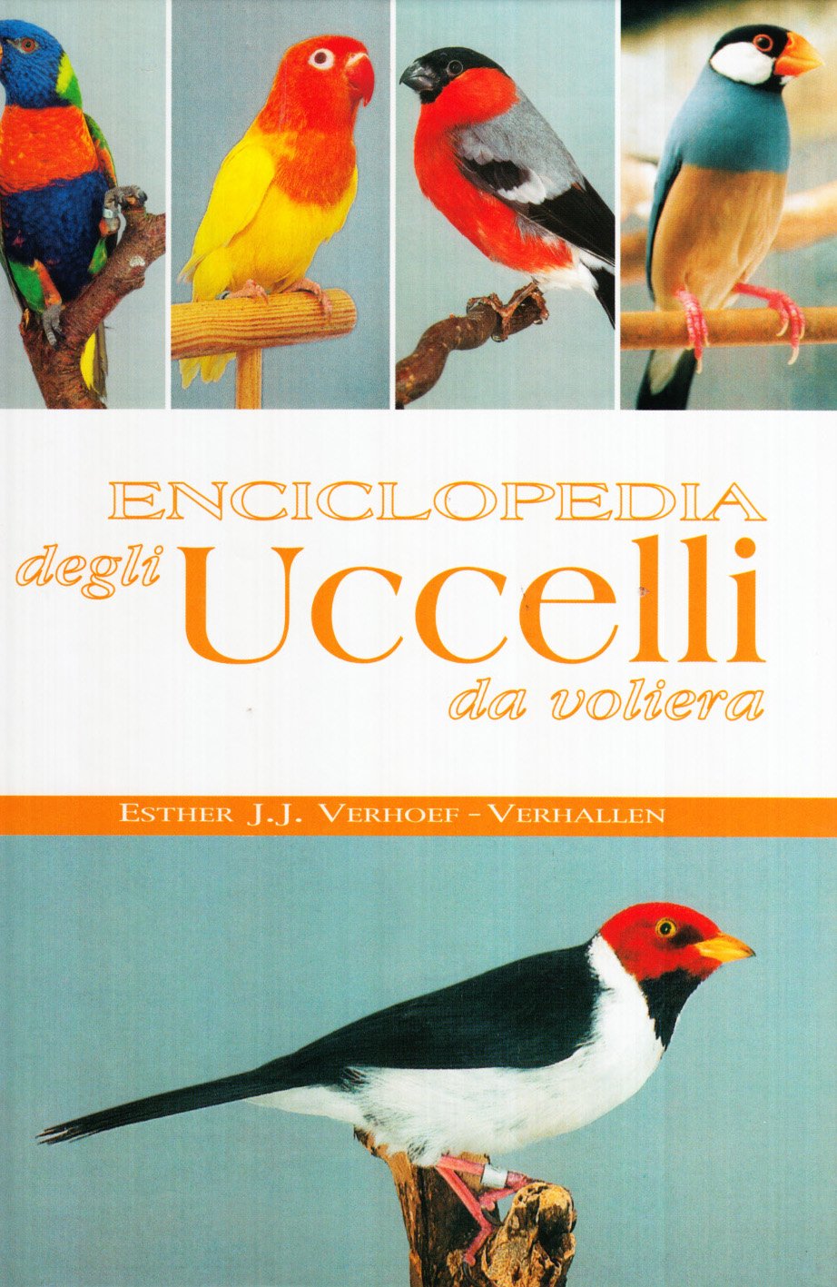 Enciclopedia degli uccelli da voliera. Ediz. illustrata book