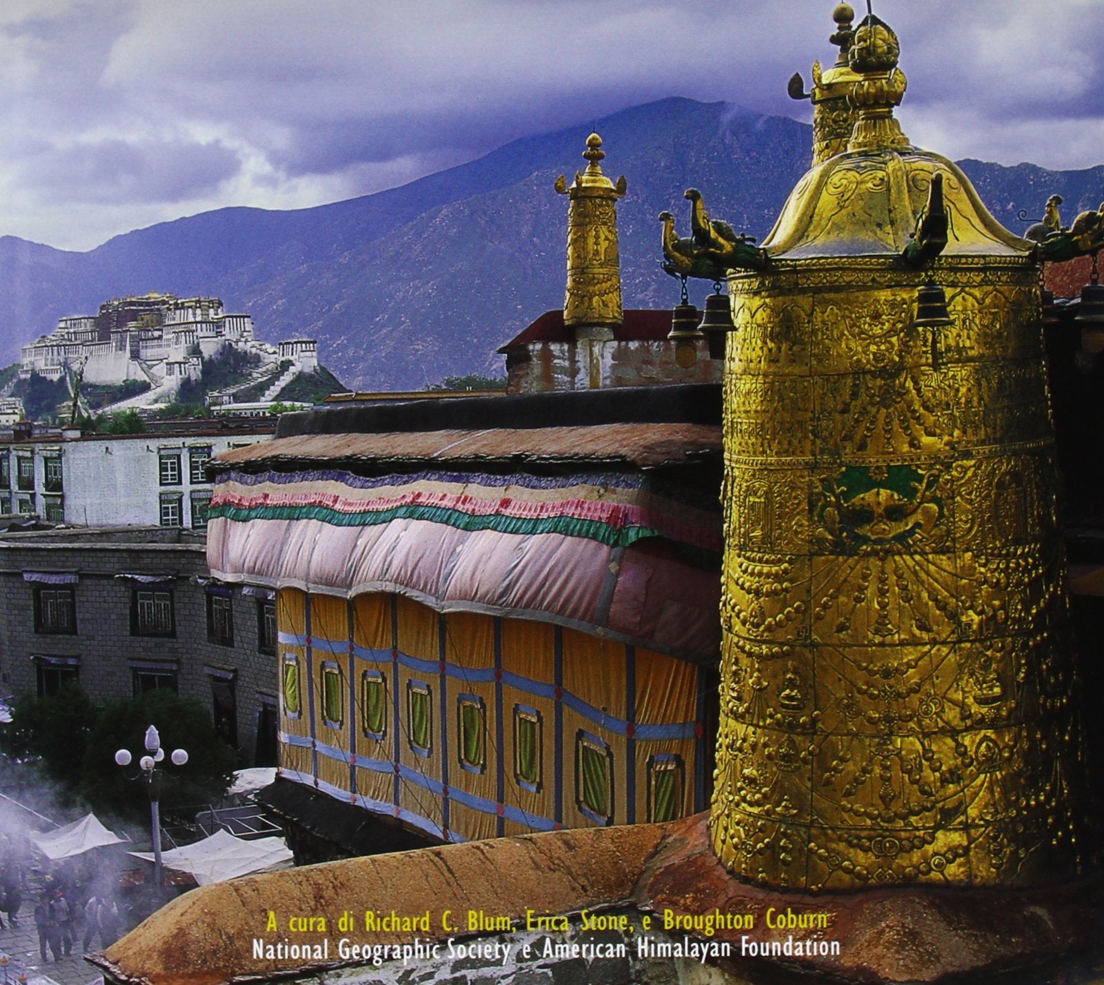 Himalaya. Storie personali di grandezza, di imprese e di speranza. Ediz. illustrata book