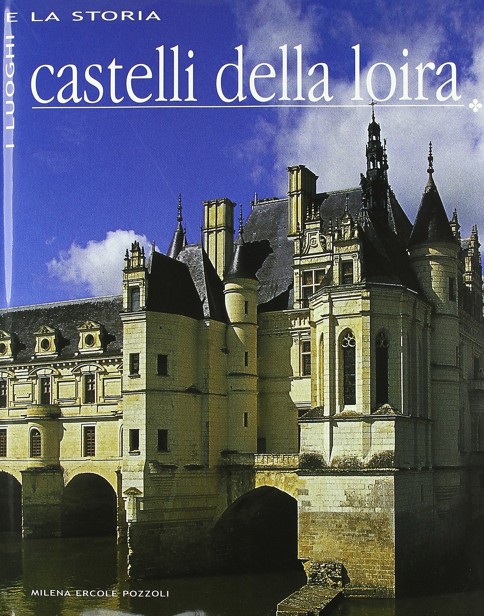 Castelli della Loira. Ediz. illustrata book