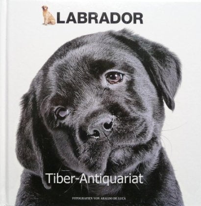 LABRADOR - Fotografien von Araldo De Luca Books