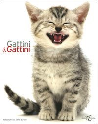 Gattini & gattini. Ediz. illustrata book