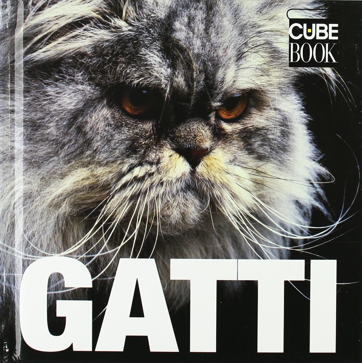 Gatti. Ediz. illustrata book