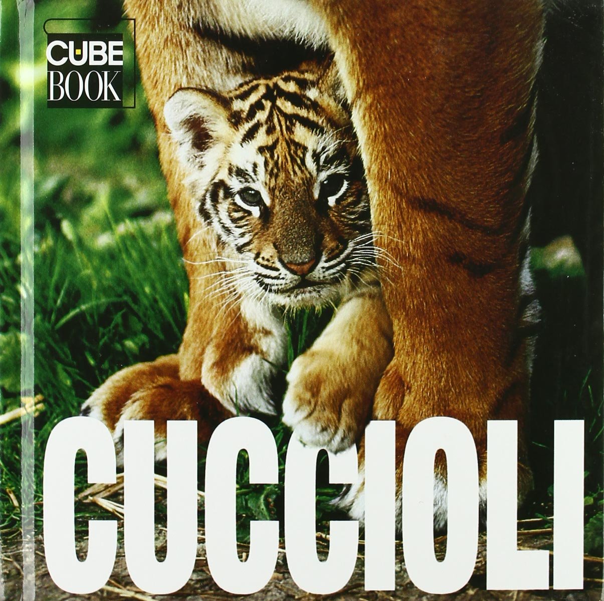 Cuccioli. Ediz. illustrata (Cube Book) Travel