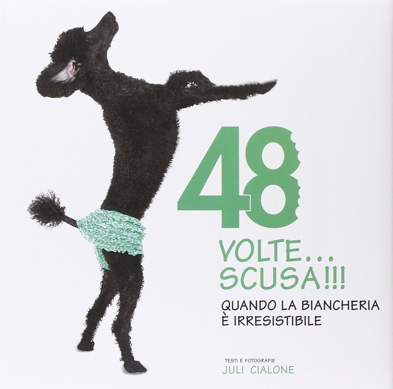 48 volte... Scusa!!! Quando la biancheria è irresistibile. Ediz. illustrata book