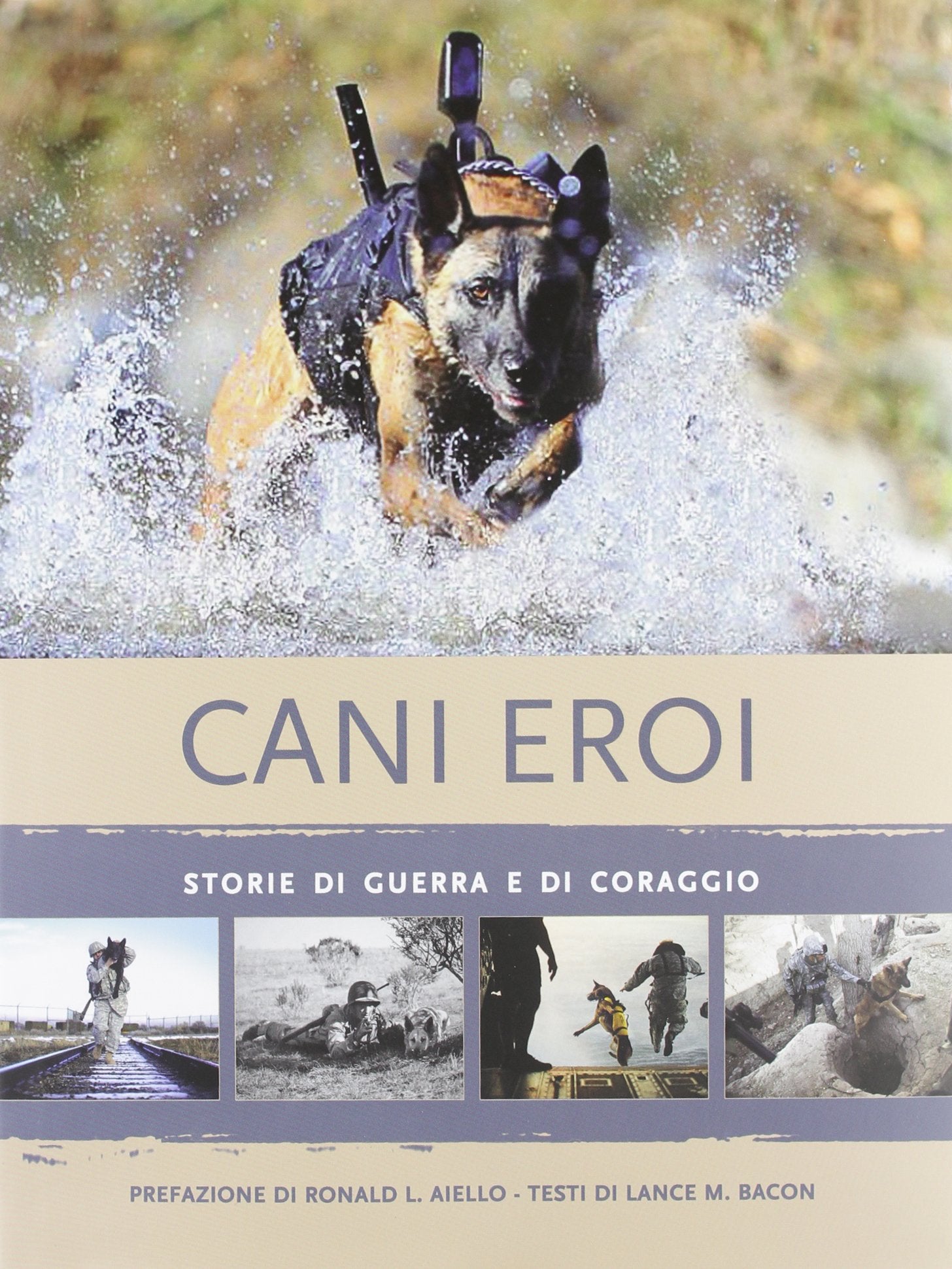 Cani eroi. Storie di guerra e di coraggio. Ediz. illustrata book