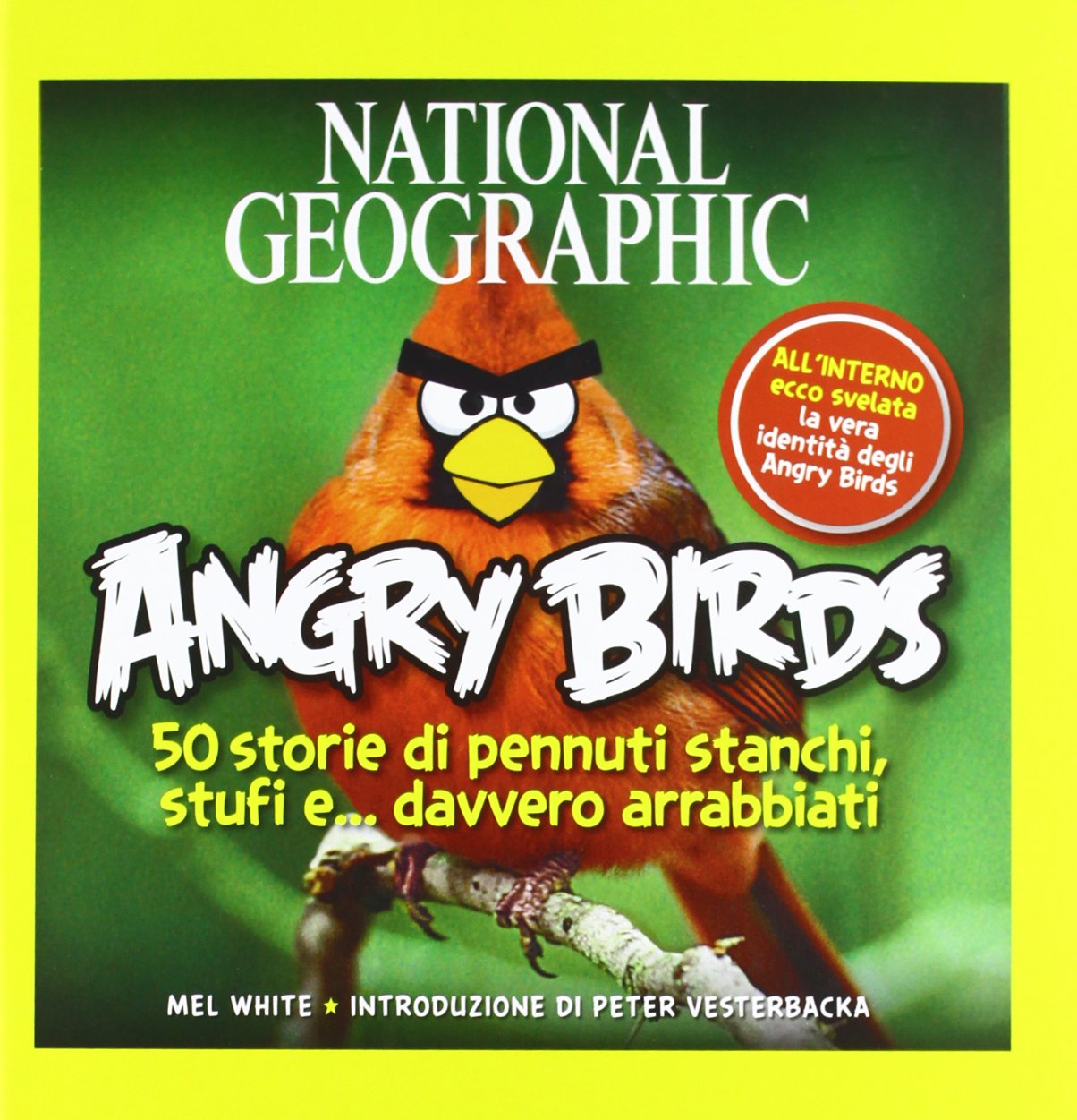 Angry Birds. 50 storie di pennuti stanchi, stufi e... davvero arrabbiati! Ediz. illustrata book