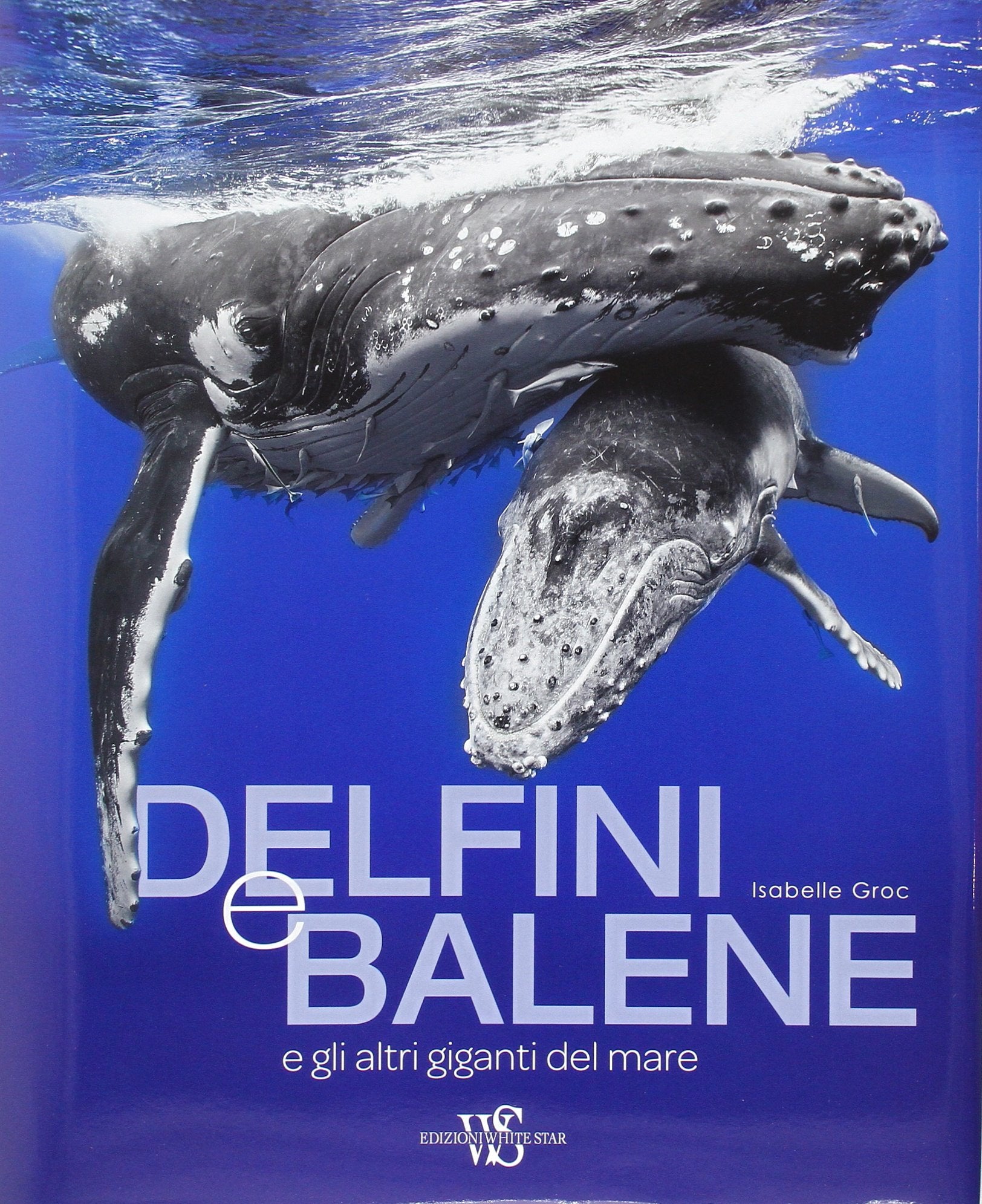 Delfini e balene e gli atri giganti del mare. Ediz. illustrata book