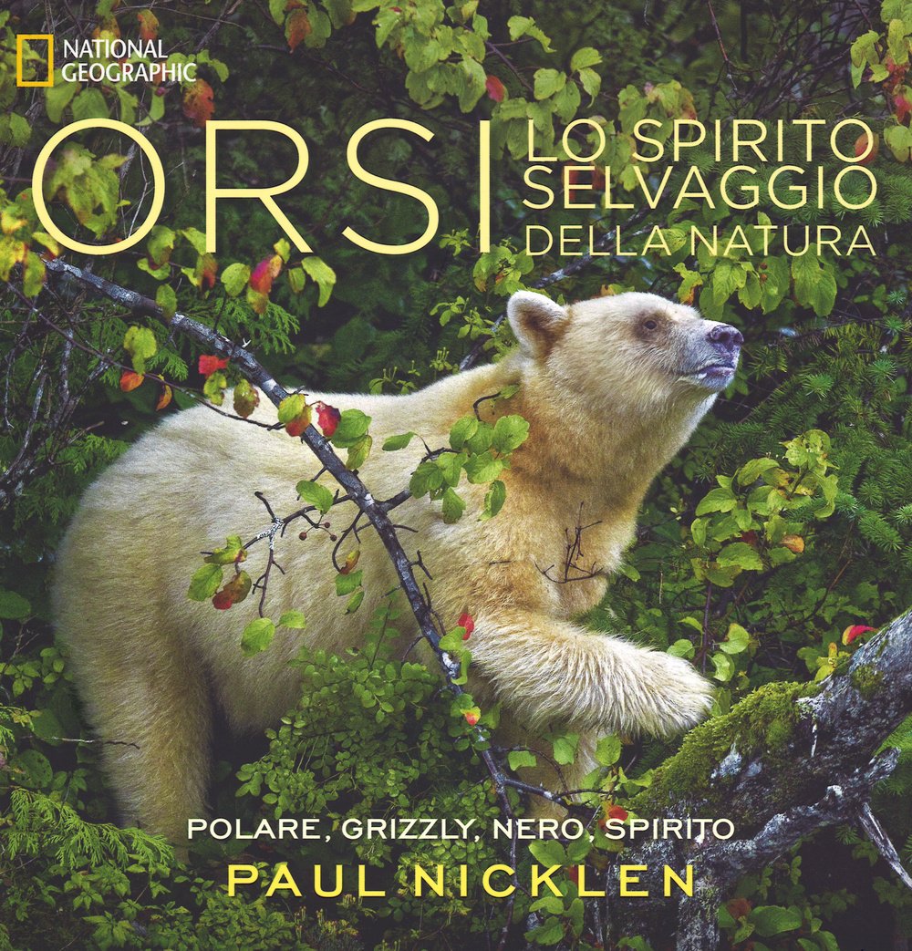Orsi. Lo spirito selvaggio della natura. Ediz. illustrata book