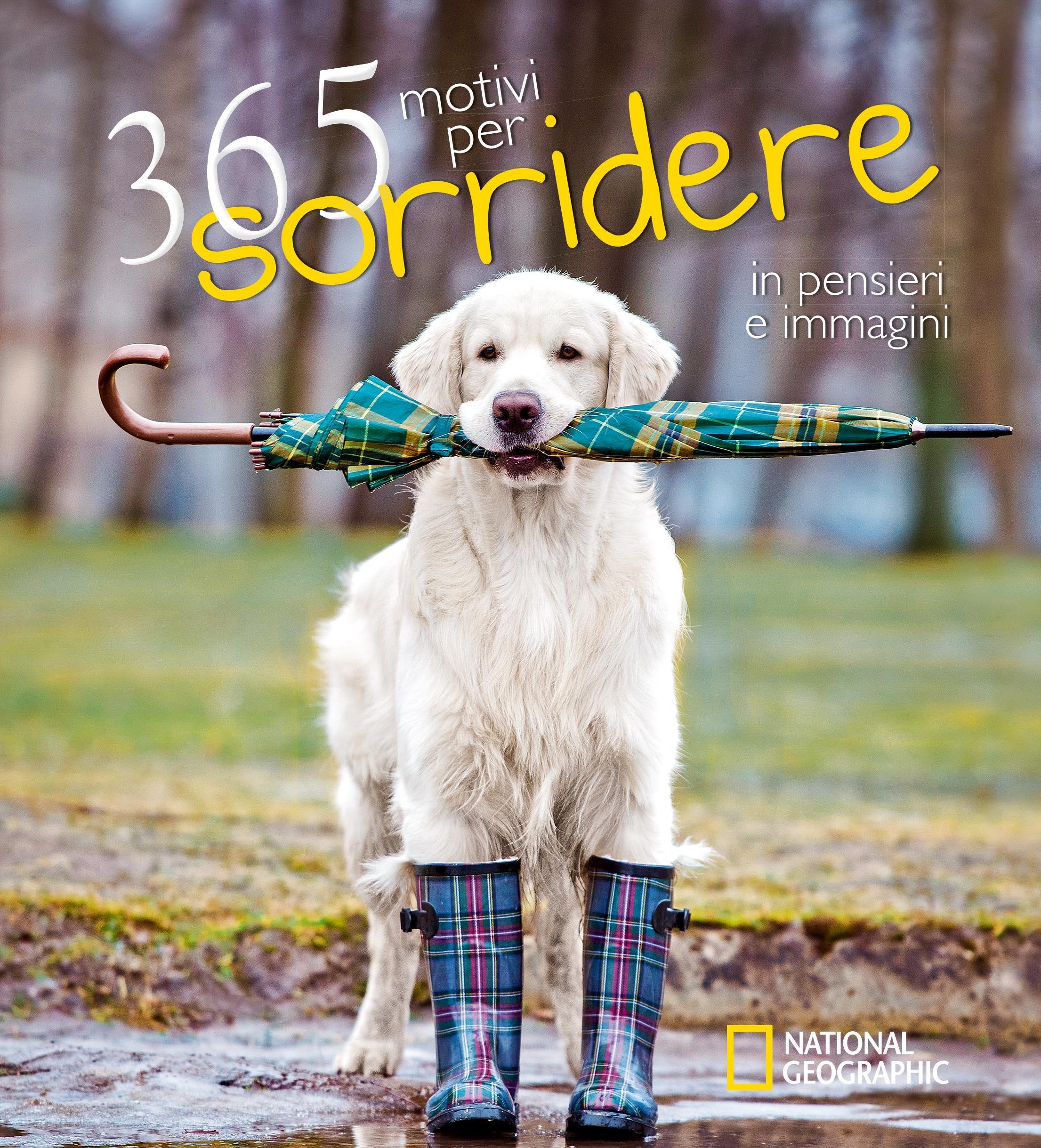 365 motivi per sorridere ...in pensieri e immagini. Ediz. illustrata book