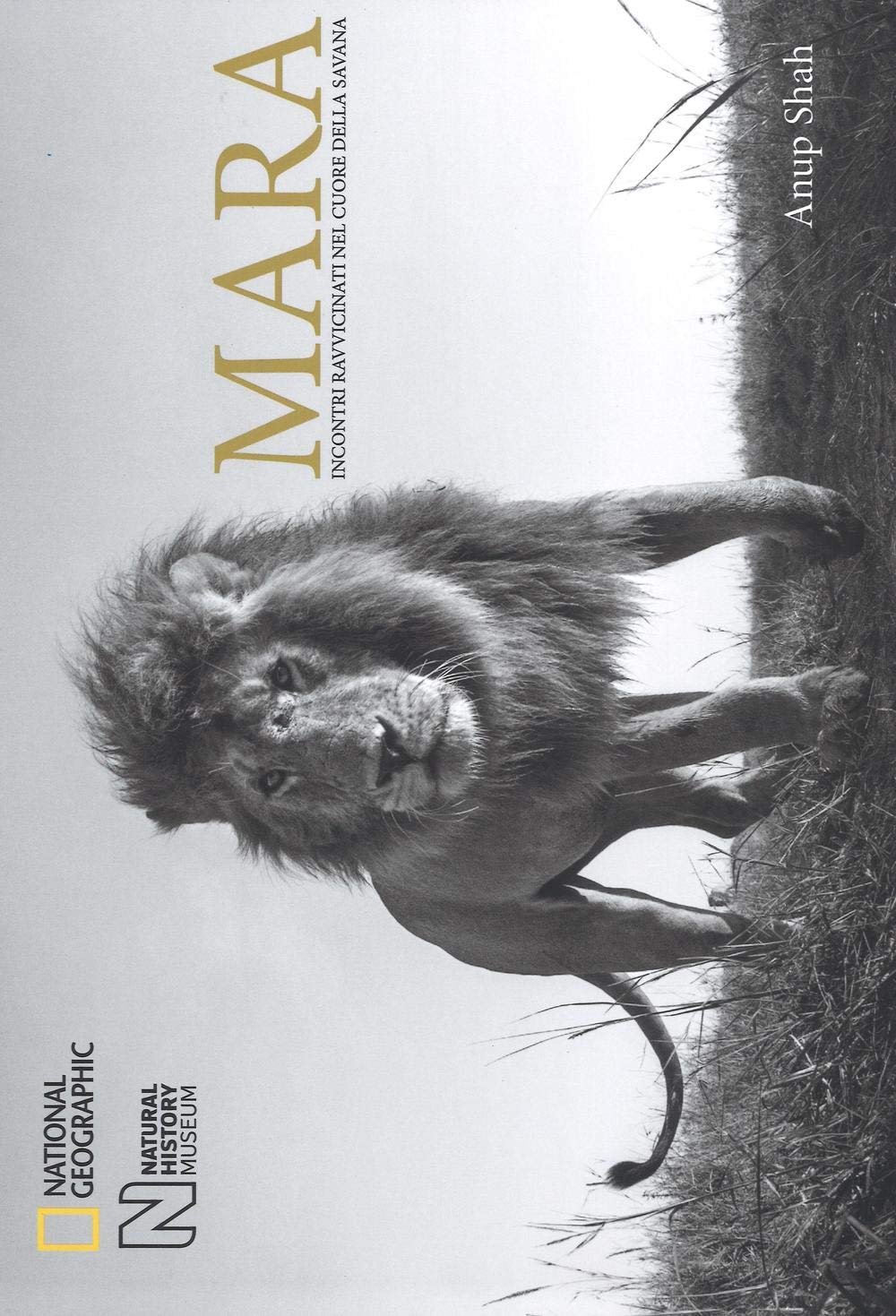 Mara. Incontri ravvicinati nel cuore della savana. Ediz. illustrata book