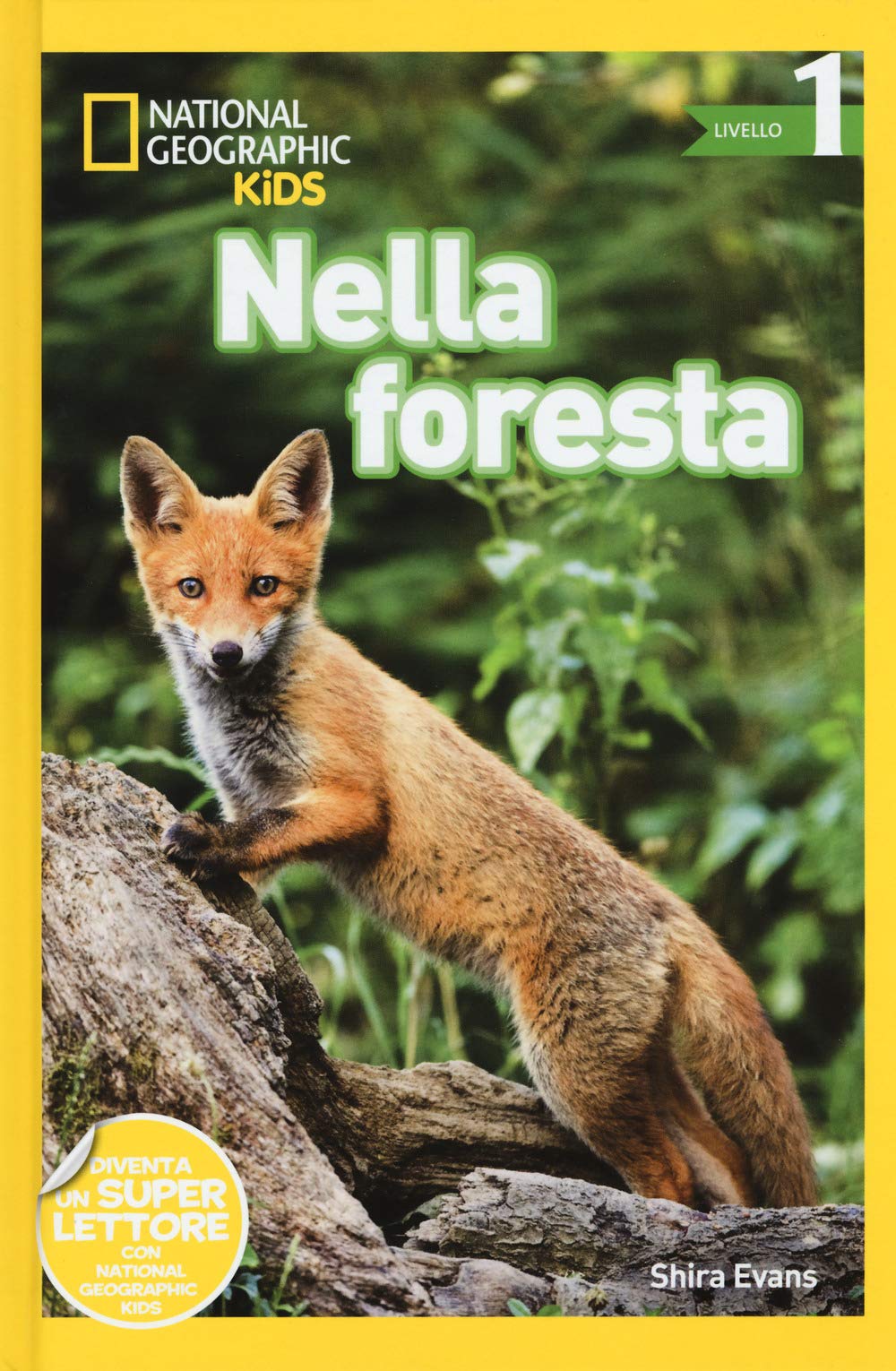 Nella foresta. Livello 1 (National Geographic Kids) Non-fiction